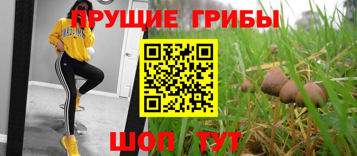Галлюциногенные грибы MAGIC MUSHROOMS Моздок