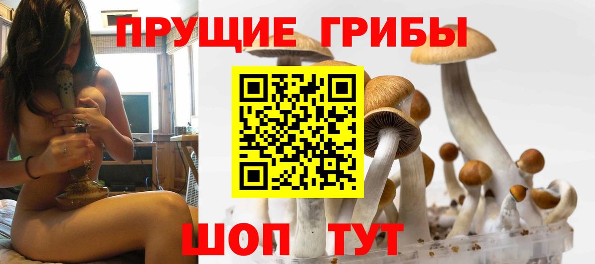 Псилоцибиновые грибы MAGIC MUSHROOMS  Галлюциногенные грибы GOLDEN TEACHER  Моздок  Вход с VPN 