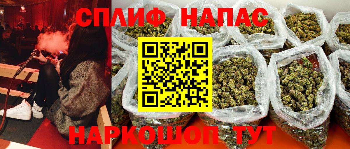Моздок  Канабис сатива  Канабис план  Вход с VPN  Бошки марихуана Ganja  МАРИХУАНА AK-47 